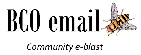 BCO eblast logo