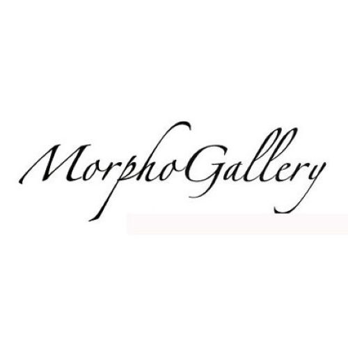Morpho Gallery Chicago logo